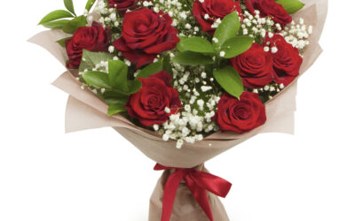 Comprar Rosas Rojas