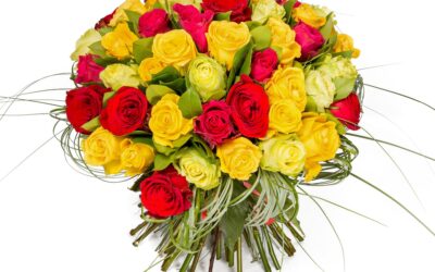 Ramo de 36 Rosas Multicolor / 36 Mixed Color Roses