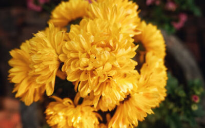 What’s the meaning of yellow flower bouquets?