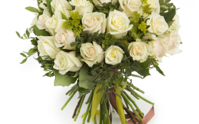 50 white roses