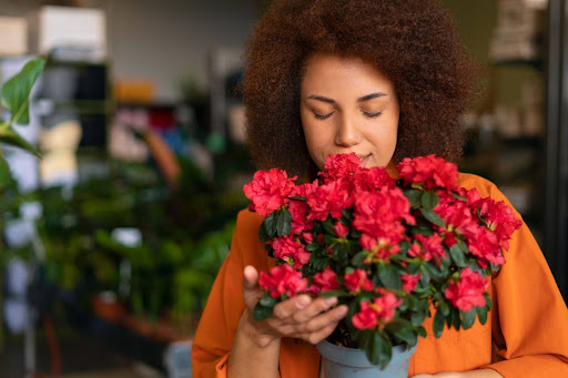 Flowers for Clients: The Best Gifts to Show Gratitude