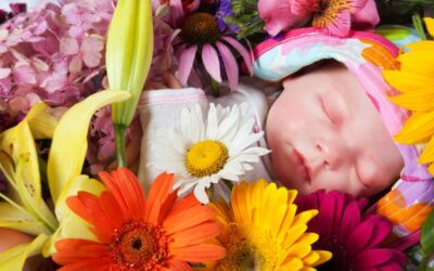 Las Flores Perfectas para Dar la Bienvenida a un Bebé