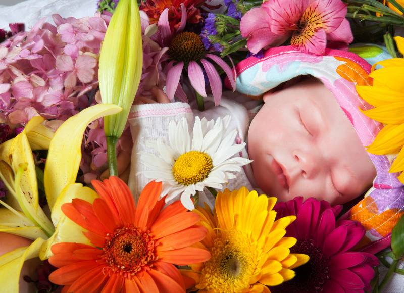 The Perfect Flowers to Welcome a New Baby