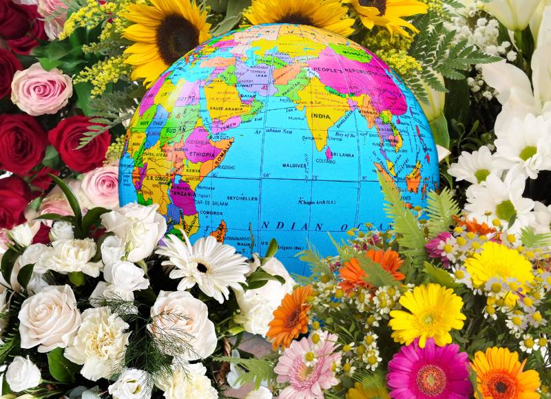 Sending Flowers to Spain from Abroad: A Complete Guide to Surprise Your Loved Ones